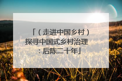 （走进中国乡村）探寻中国式乡村治理：后陈二十年