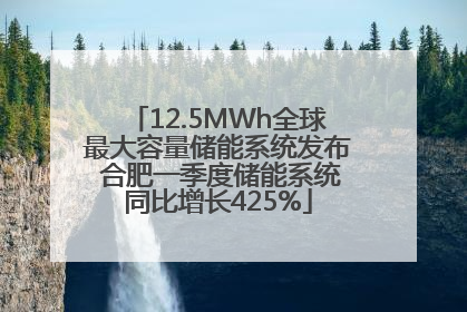 12.5MWh全球最大容量储能系统发布 合肥一季度储能系统同比增长425%