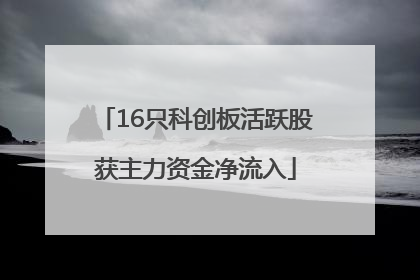 16只科创板活跃股获主力资金净流入