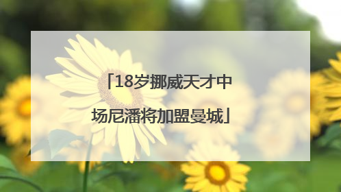 18岁挪威天才中场尼潘将加盟曼城