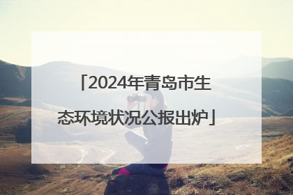 2024年青岛市生态环境状况公报出炉