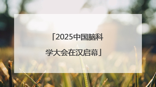 2025中国脑科学大会在汉启幕