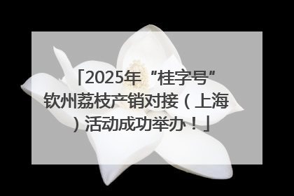2025年“桂字号”钦州荔枝产销对接（上海）活动成功举办！