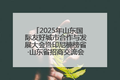2025年山东国际友好城市合作与发展大会暨印尼楠榜省·山东省招商交流会在济南槐荫举行