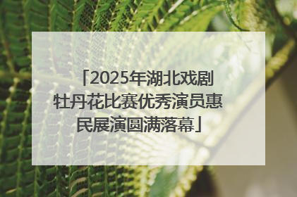 2025年湖北戏剧牡丹花比赛优秀演员惠民展演圆满落幕