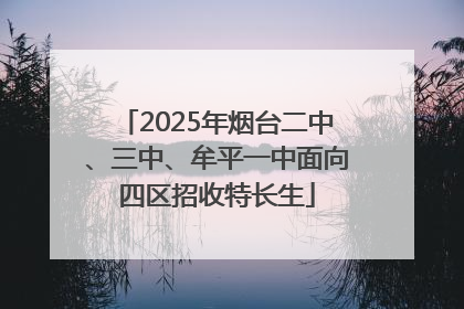 2025年烟台二中、三中、牟平一中面向四区招收特长生