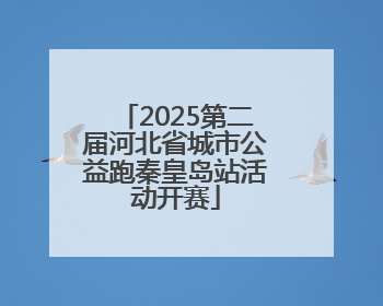 2025第二届河北省城市公益跑秦皇岛站活动开赛