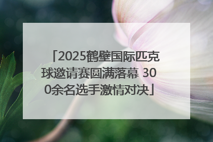 2025鹤壁国际匹克球邀请赛圆满落幕 300余名选手激情对决