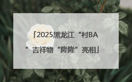 2025黑龙江“村BA”吉祥物“隆隆”亮相