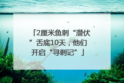 2厘米鱼刺“潜伏”舌底10天，他们开启“寻刺记”