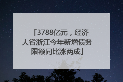3788亿元，经济大省浙江今年新增债务限额同比涨两成