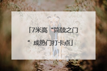 7米高“简牍之门”成热门打卡点