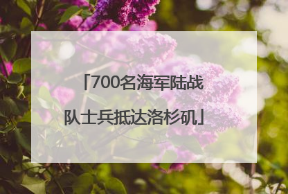 700名海军陆战队士兵抵达洛杉矶