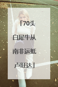 70头白犀牛从南非运抵卢旺达