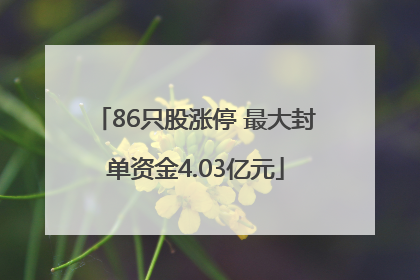 86只股涨停 最大封单资金4.03亿元