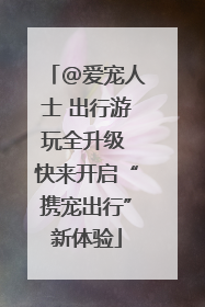 @爱宠人士 出行游玩全升级 快来开启“携宠出行”新体验