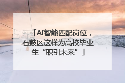 AI智能匹配岗位，石鼓区这样为高校毕业生“职引未来”