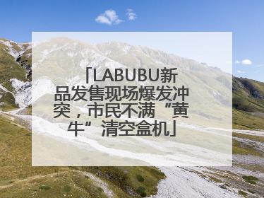 LABUBU新品发售现场爆发冲突，市民不满“黄牛”清空盒机