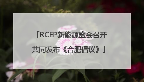 RCEP新能源盛会召开 共同发布《合肥倡议》